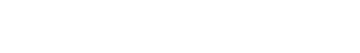サブタイトル